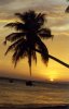 mui ne - sunrise.jpg