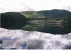 post-20-1057736764.gif