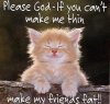 cat - make me thin.jpg