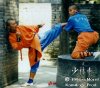 Shaolin-kick.jpg