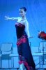 VietnamFestival_2004 030.jpg