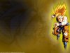 Songoku 13.jpg