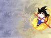 Songoku 14.jpg