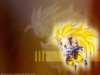 Songoku 15.jpg