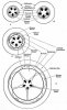 Xylem and phloem6.jpg